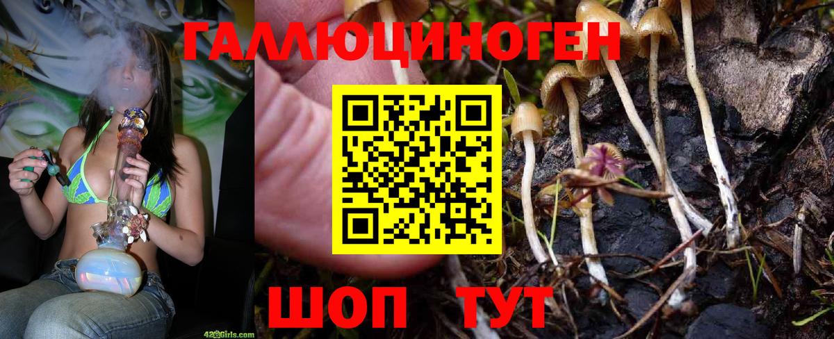 Галлюциногенные грибы Psilocybine cubensis  Вход с VPN  Псилоцибиновые грибы мухоморы  Грязи 